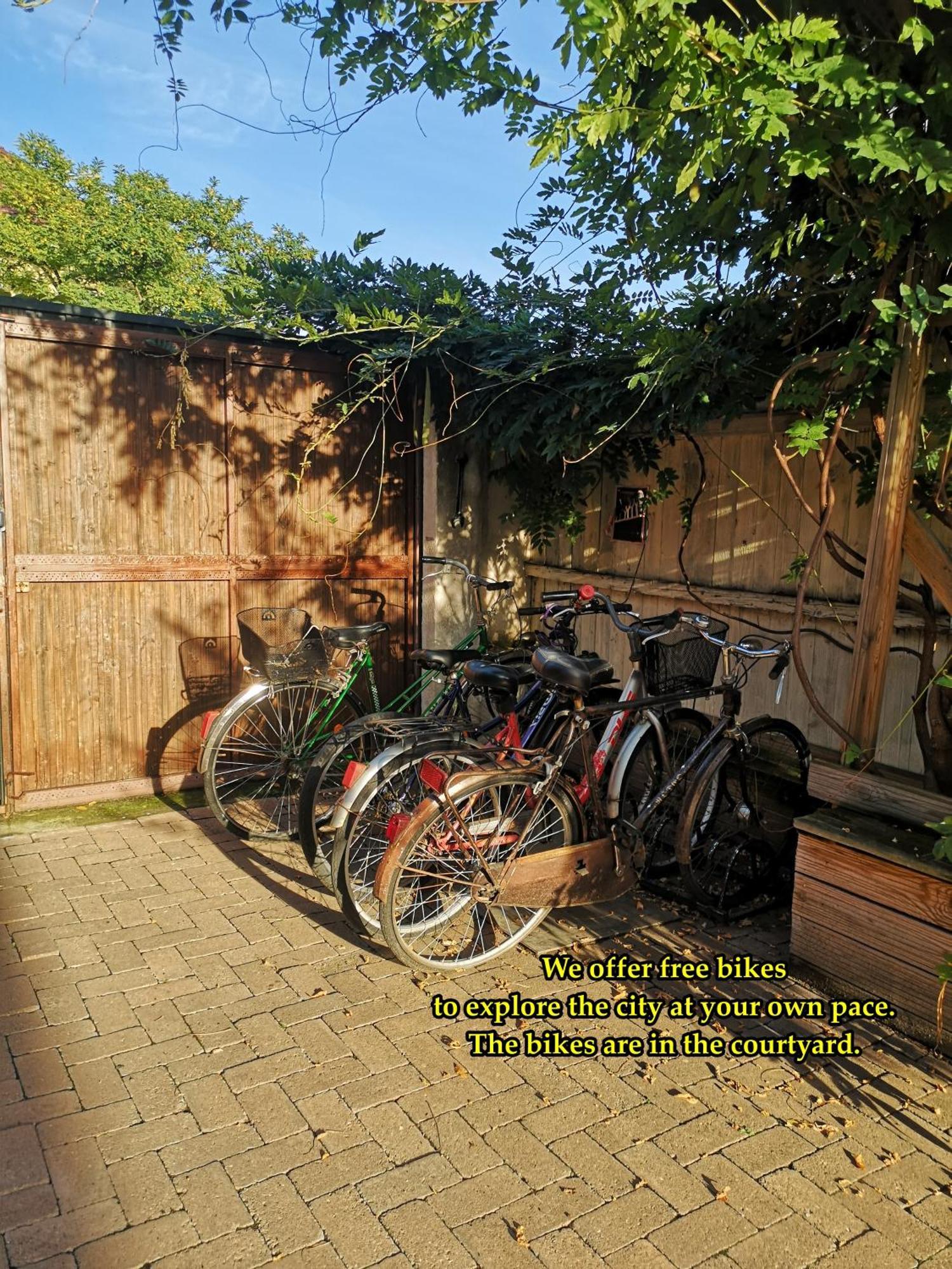 Bike House - 250-Year-Old Restored House In A Quiet Area Braşov Eksteriør billede